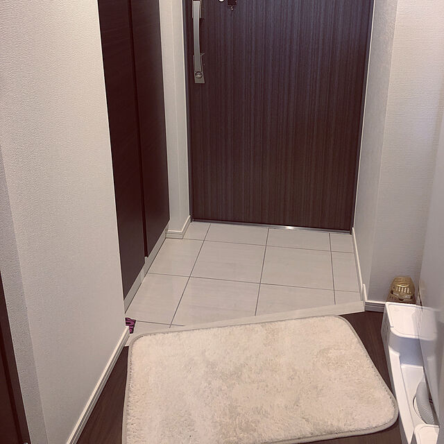 kozuの-玄関マット マット フロアマット マイクロシャギー 45×75cm 洗える 抗菌防臭 無地  SALE 0304の家具・インテリア写真