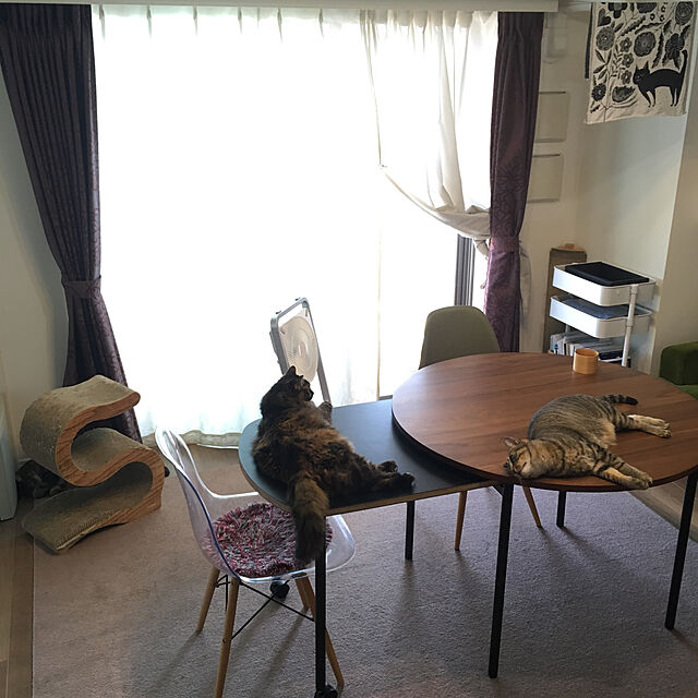mikomaruの-丸テーブル　北欧風 伸長式　エクステンション　ダイニングテーブルの家具・インテリア写真