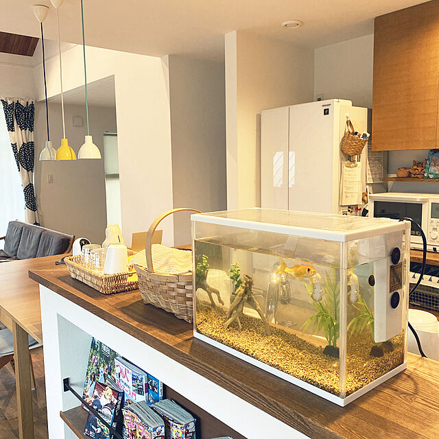 panchanのジェックス-GEX ジェックス 癒し水景 ピュアプランツ ポリゴナム 新素材プランツ 水中でしなやかに ゆらめくの家具・インテリア写真