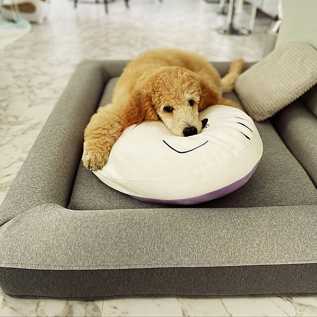 nackeyの-グーグースリープ 犬 ペット ベッド ラージ gugu sleep guguドギー グーグードギー 洗える 低反発高反発 耐久性 ふ?の家具・インテリア写真