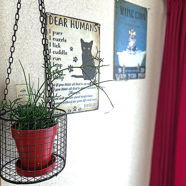 eregonの-面白い猫の金属ポスターメインクーン共同。 バスソープはあなたの足を洗うレトロな金属の錫のサインバスルームキッチンリビングルームホームアート壁の装飾プラークギフト、8x12インチの家具・インテリア写真