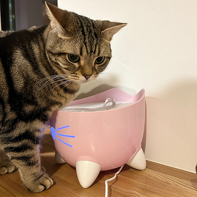 kaedeのジェックス-Catit Pixi ファウンテン ホワイト 静音 猫用スマート給水器 自動給水器 軟水化フィルター1枚付き 2.5Lの家具・インテリア写真