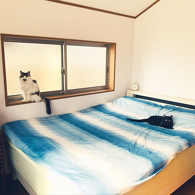 miao-kinのニトリ-ダブルベッドフレーム(カルバーS/WW) の家具・インテリア写真