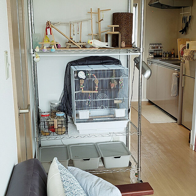 ruchicoccoのニトリ-テーブルランプ(テーブルランプ リンドロC-106T-DBR) の家具・インテリア写真