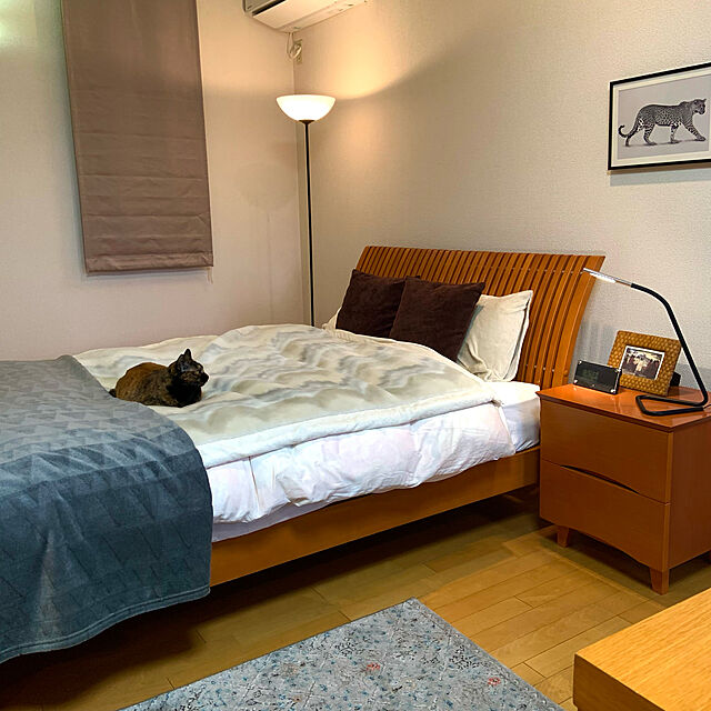 cocoのイケア-HÅRTE ホールテ LEDワークランプの家具・インテリア写真