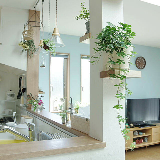 Shooowkoのニトリ-ローボード(Nフィルン1500LBR) の家具・インテリア写真