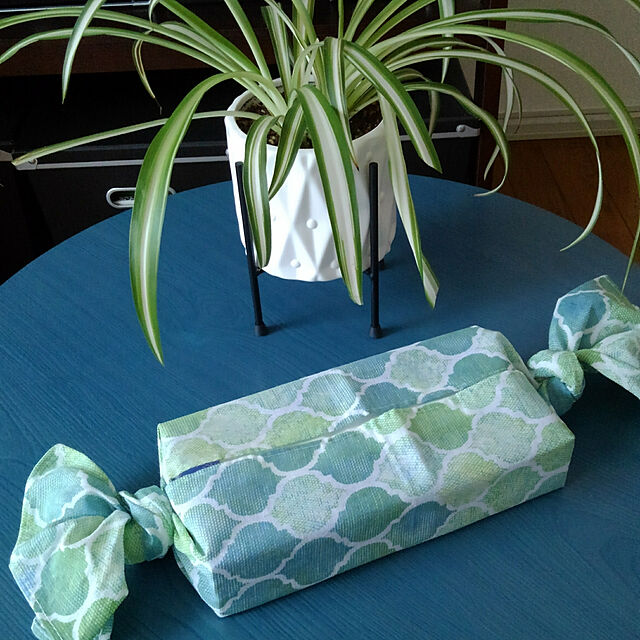 Renの-【お試し】 オリヅルラン（折鶴蘭） 白色 4号 プラスチック鉢 Chlorophytum comosum・オリズルラン　ポイント消化・観葉植物の家具・インテリア写真