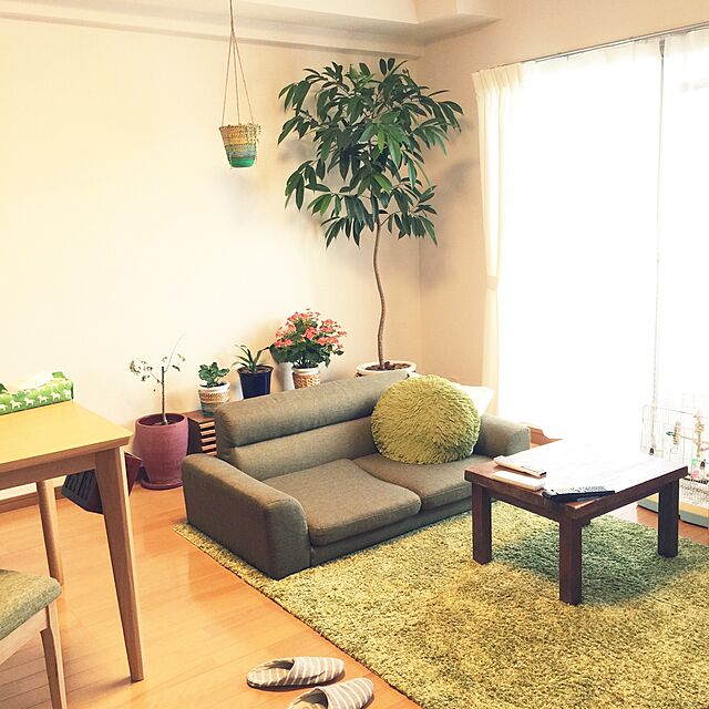 shirokinaの-Mukku / ムック　約100×140cmラグ 絨毯　カーペット　ホットカーペット 対応　モダンラグ　カーペット クラシックの家具・インテリア写真