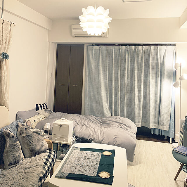 woyukiのニトリ-モチモチクッション(キキ スモール) の家具・インテリア写真