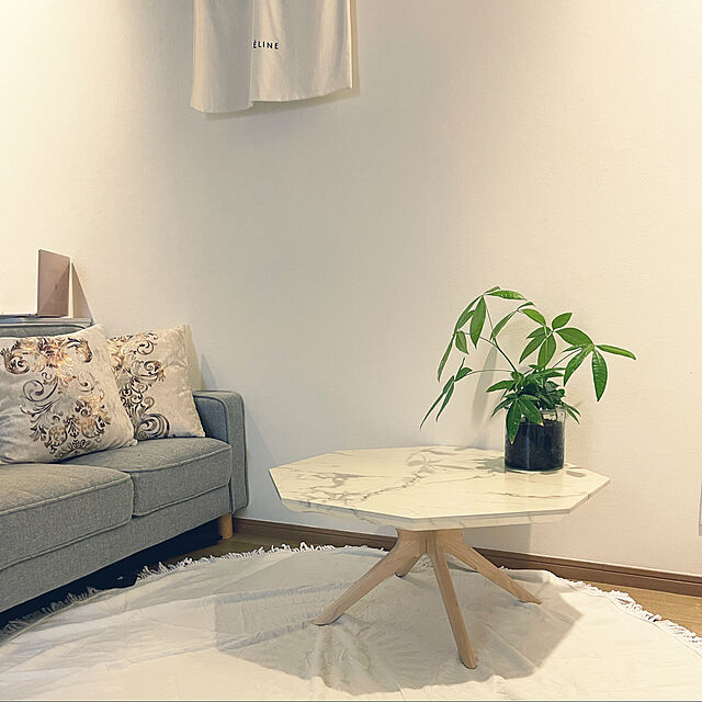 Yoshimiのakindou-akindou 気品漂う 欧風 枕カバー クッションカバー 2枚セット 45cm×45cm ネル生地 クッション 中身は含まれない ヨーロピアン スタイル 中世貴族 (白色)の家具・インテリア写真