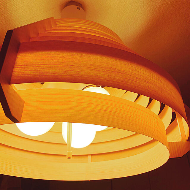 Nntnの-【ポイント2倍!】【OUTLETセール】JAKOBSSON LAMP（ヤコブソンランプ）ダークブラウン[F-217H-NET]（ランプ別）【箱破損品】の家具・インテリア写真