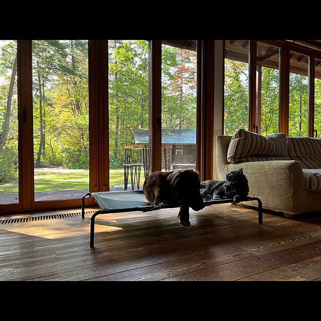 Kikko.の-犬用ベッド 大型犬 脚付きコット型 高床 猫 犬ベッド 耐噛み 耐汚れ素材 地面に離れ 四季通用 クッション別売り 取り外し可 洗える 組立簡単 S M L XLの家具・インテリア写真