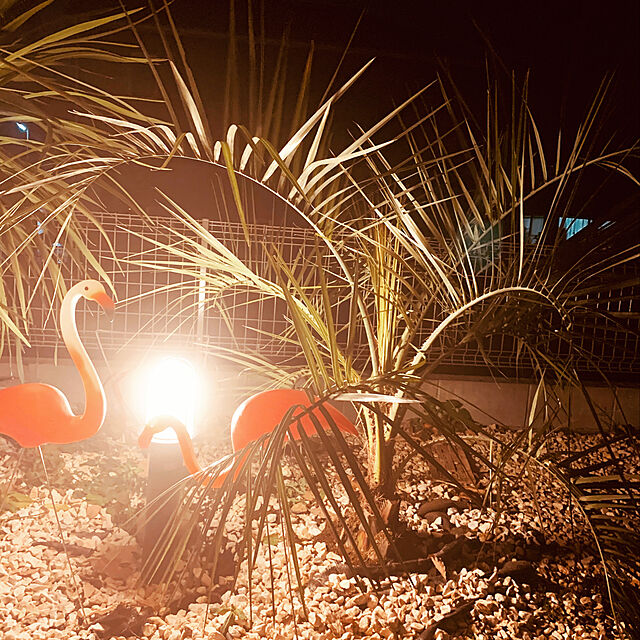 hirobilly13の-【オブジェ】ピンクフラミンゴ ガーデンオブジェ 2羽入り 【インテリア ディスプレイ 飾り インスタ映え】の家具・インテリア写真