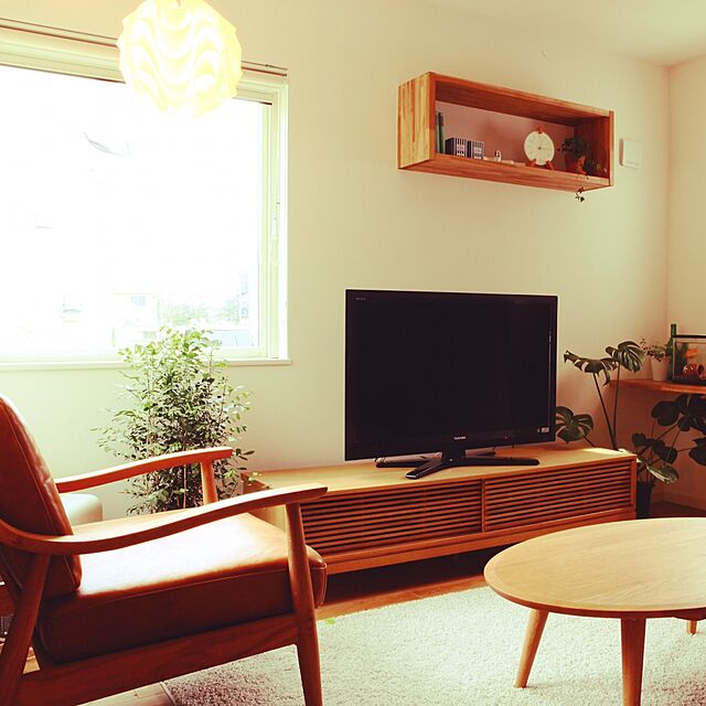 introの松村農園-観葉植物 モンステラ 6号陶器鉢-丸-白の家具・インテリア写真