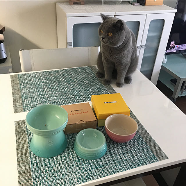 kittyの-【10％OFFクーポン】ル・クルーゼ ルクルーゼ ペットボール(SS) 猫 犬 餌皿 フードボウル ペット 食器 猫 食器 フードボウル 犬 ペット用食器 Pet Goods LE CREUSET 日本正規代理店 lecpet 母の日 プレゼント【ギフト袋　対象】の家具・インテリア写真