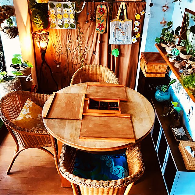 ryomamaの-（観葉植物）フィカス　ウンベラータ　４号（１鉢）の家具・インテリア写真