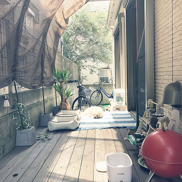 tenmaruの-【送料無料】 日よけ サンシェード オーニング スクリーン 目隠し 雨除け 日除けシェード 横幅300cmの家具・インテリア写真