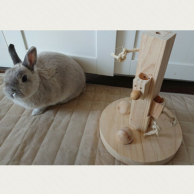 yokomokoのkerbl-ドイツケアブル [ALLFORWAN’sLIFE] 小動物用おもちゃ うさぎちゃんのおもちゃ シンキング&ラーニング トイフィードツリーの家具・インテリア写真