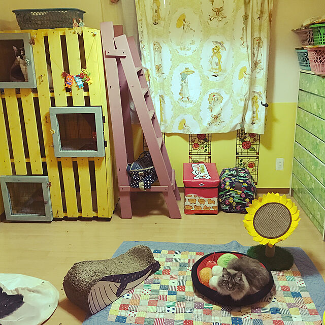 harunatsuakibaの-和のおもてニャし あんみつにゃんこクッション フェリシモ FELISSIMO【送料無料】の家具・インテリア写真