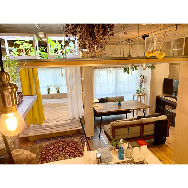 hidemaroomの-【販売終了】LED プランター 水耕栽培キット グリンテリアの家具・インテリア写真
