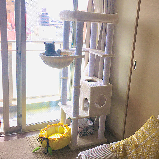 kittyのニトリ-犬・猫用ペットベッド(Nクール o-i レモン) の家具・インテリア写真