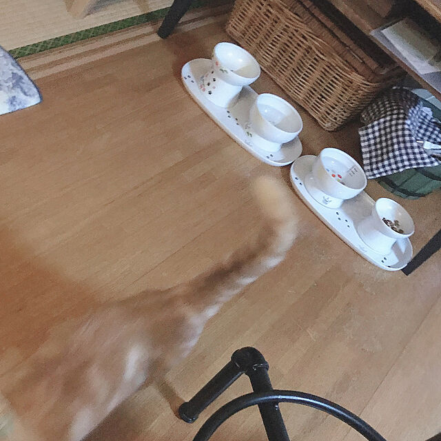 rasuの-猫壱 ハッピーダイニング フードボウル 猫柄 食器の家具・インテリア写真