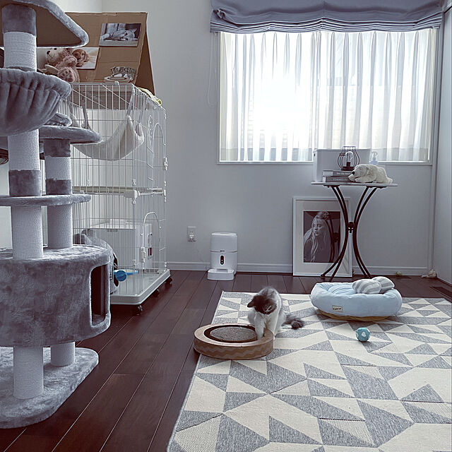 Akubiの-ペットベッド クッショ 猫ベッド 枕付き 犬猫兼用 可愛い ふわふわ 柔らかい ぐっすり眠れる 選べる３色 小型犬 猫 外径45ＣＭ Panni 送料無料の家具・インテリア写真