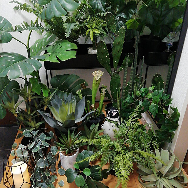 G.Mのイケア-FEJKA フェイカ 人工観葉植物の家具・インテリア写真