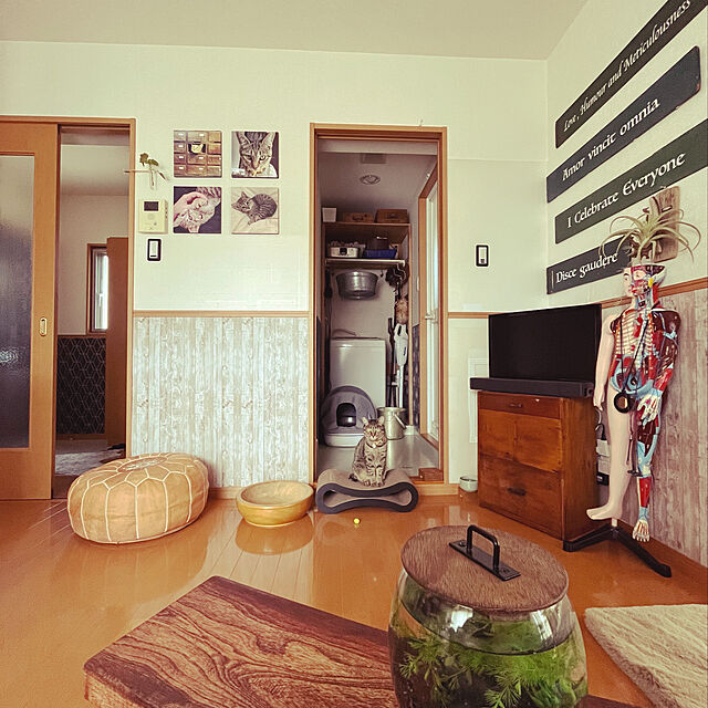 MのAibuddy-Aibuddy 爪とぎ 猫 段ボール 高密度 耐久 ベッド型 ソファ 爪磨き キャットの家具・インテリア写真