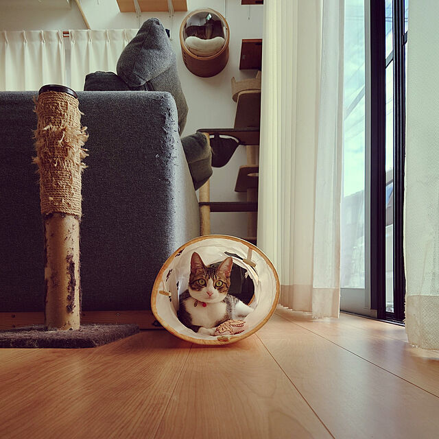 mochicoの-【猫壱 neco ichi】猫壱 キャットトンネル 木目柄 64×23×23cm 猫 ねこ おもちゃの家具・インテリア写真