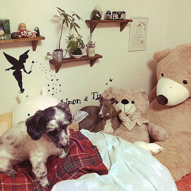 misatanのIKASA-ぬいぐるみ　特大 くま/テディベア 可愛い熊 動物 大きい くまぬいぐるみ/熊縫い包み/クマ抱き枕/お祝い/ふわふわぬいぐるみ (160CM, 画像通り)の家具・インテリア写真