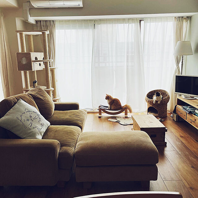 keiのニトリ-クッションカバー(IB ネコ) の家具・インテリア写真