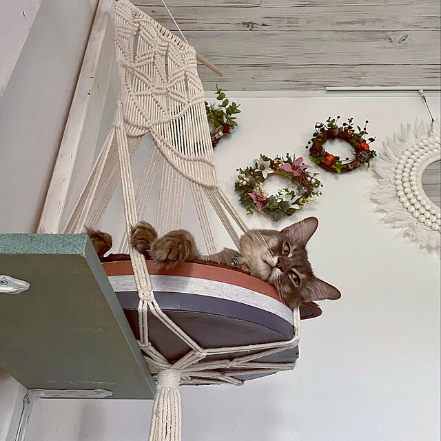 paradise_viewのFocket-猫ハンモックベッド、古典的なレトロなボヘミアン手編み猫ハンモックベッド装飾マクラメ壁吊り猫の巣スイングハンモック、頑丈で耐久性のある、家/ペットショップ/ペットの家具・インテリア写真