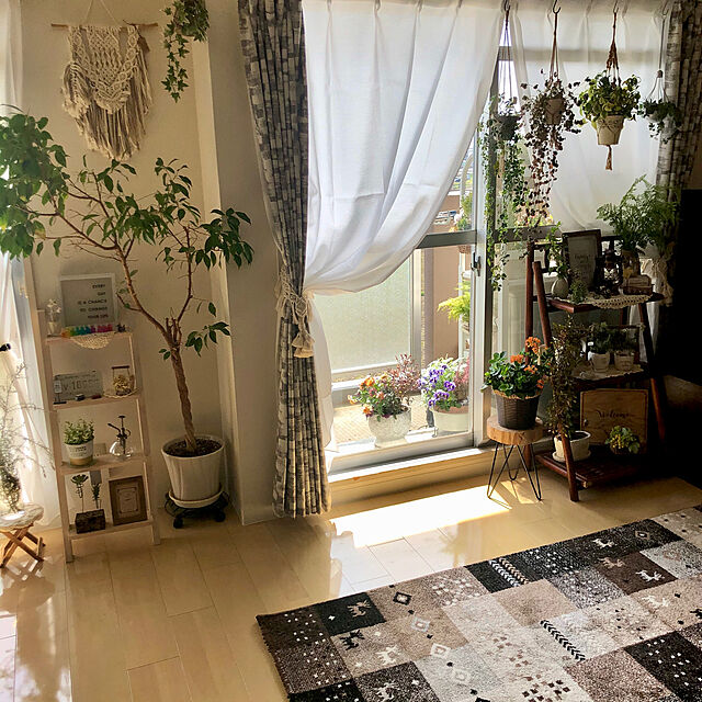 miyakoの-フォールディングシェルフ 04-578 ブラウンの家具・インテリア写真