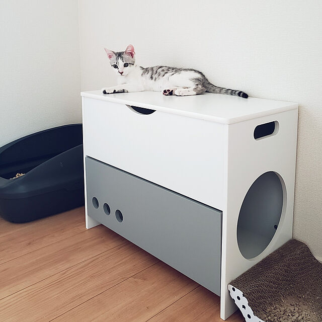 momo-maruの-【送料込】花王 ニャンとも清潔 トイレセット ブラウン オ−プンタイプ 猫用トイレ容器( 4901301359827 )の家具・インテリア写真