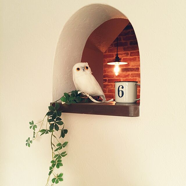 dandelionの-☆PUEBCO（プエブコ）ふくろう Owl ホワイトleft（横向き）リアルなフクロウの置物雑貨通販【RCP】の家具・インテリア写真