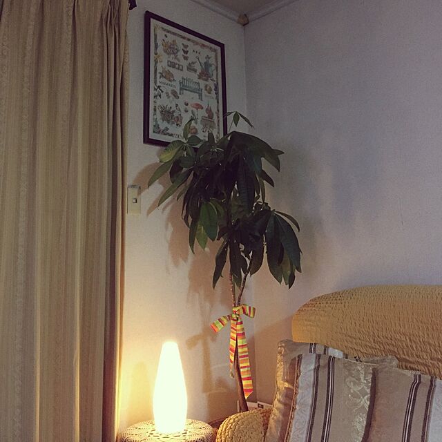 A-chanの-ソファーカバー 3人掛け イタリア製フィットソファーカバー formaの家具・インテリア写真