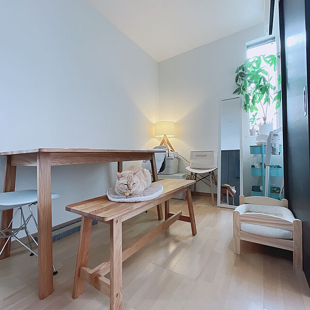 aykoの三吉-ベンチ 木製 おしゃれ 北欧 ダイニングベンチ OAK W100×D29×H45(cm) MTS-090の家具・インテリア写真