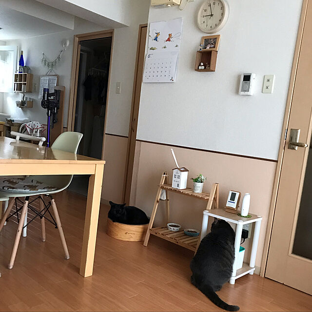 Machikoの-salut!(サリュ) おうちハンディモップの家具・インテリア写真