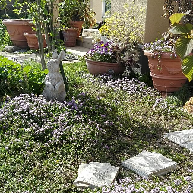 写真付きレビュー ブックステップストーン 庭 敷石 アンティーク 踏み石 ガーデニング オーナメント 絵本 踏み石 置物 ガーデン ポエム かわいいの通販商品 口コミ情報 Roomclipショッピング