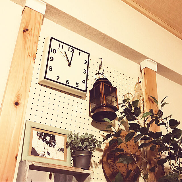 chikoのニトリ-ミニハーブポット ミント(2053024) の家具・インテリア写真