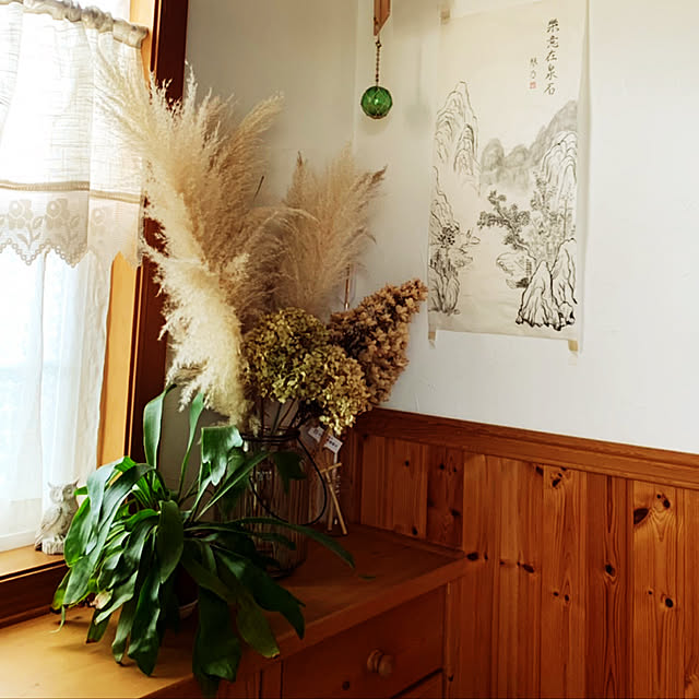 misacoの-パンパスグラス　ホワイトフェザー （ 白花 ） 10.5cmポット苗の家具・インテリア写真