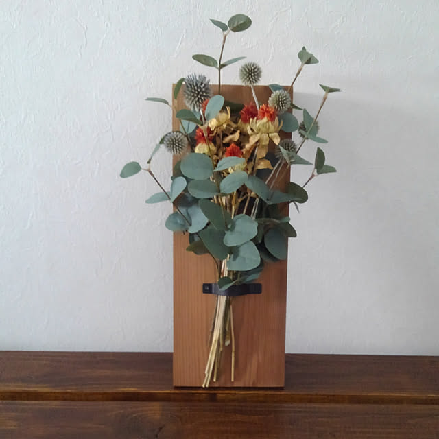 Renのトーホク-【種子】紅花（ベニバナ）トーホクのタネの家具・インテリア写真