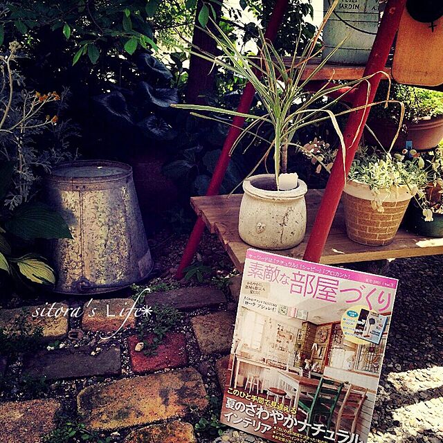 sitoraの学研プラス-素敵な部屋づくり 2015年 ６月号（夏号） [雑誌]の家具・インテリア写真