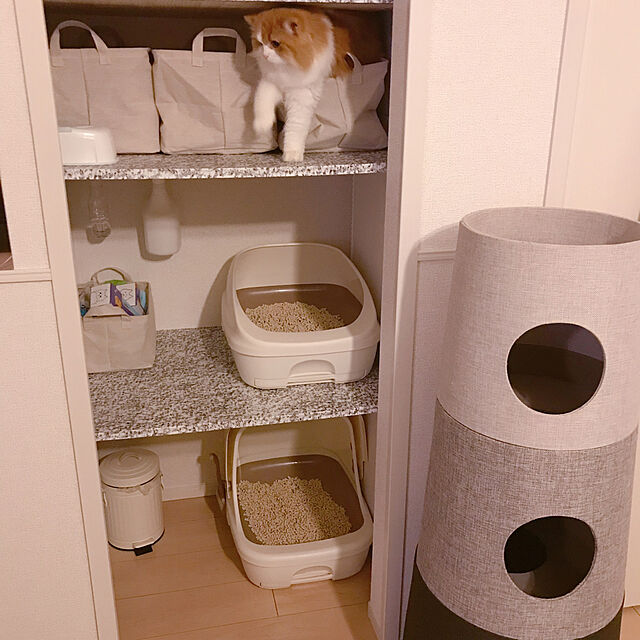 H.Tのユニチャーム-◆デオトイレ 本体 フード付き ナチュラルアイボリー 猫 トイレ ユニチャーム システムトイレの家具・インテリア写真