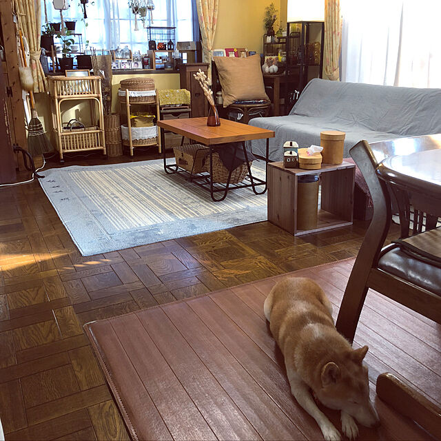 naru.miku.720のイケヒコ・コーポレーション-ラグ　ロキ　【イケヒコ】の家具・インテリア写真