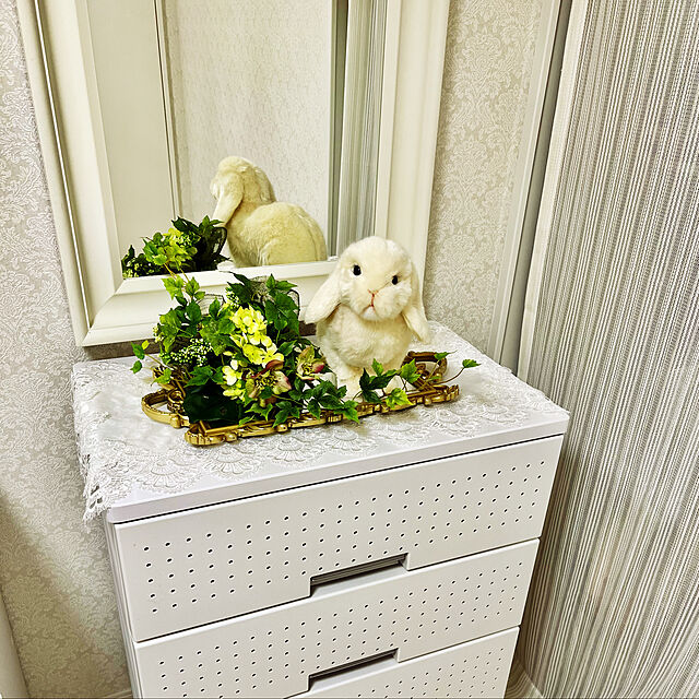yuko25の-【送料無料】HANSA ハンサ ホーランドロップ ぬいぐるみ BH7024 ウサギ 兎 リアル かわいい 動物の家具・インテリア写真