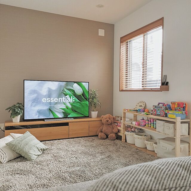 oomiのイケア-FLISAT フリサット ブックディスプレイの家具・インテリア写真