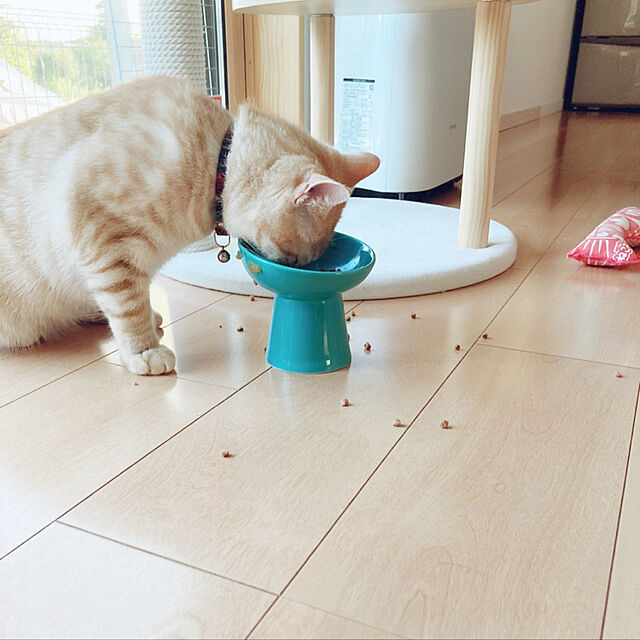 m.k.mのアース・ペット-ねこモテ 猫用おもちゃ ケリケリにゃ~マクラ 1個の家具・インテリア写真