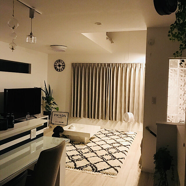 Rieのニトリ-ウィルトン織りシャギーラグ(Nレクス 200X290) の家具・インテリア写真